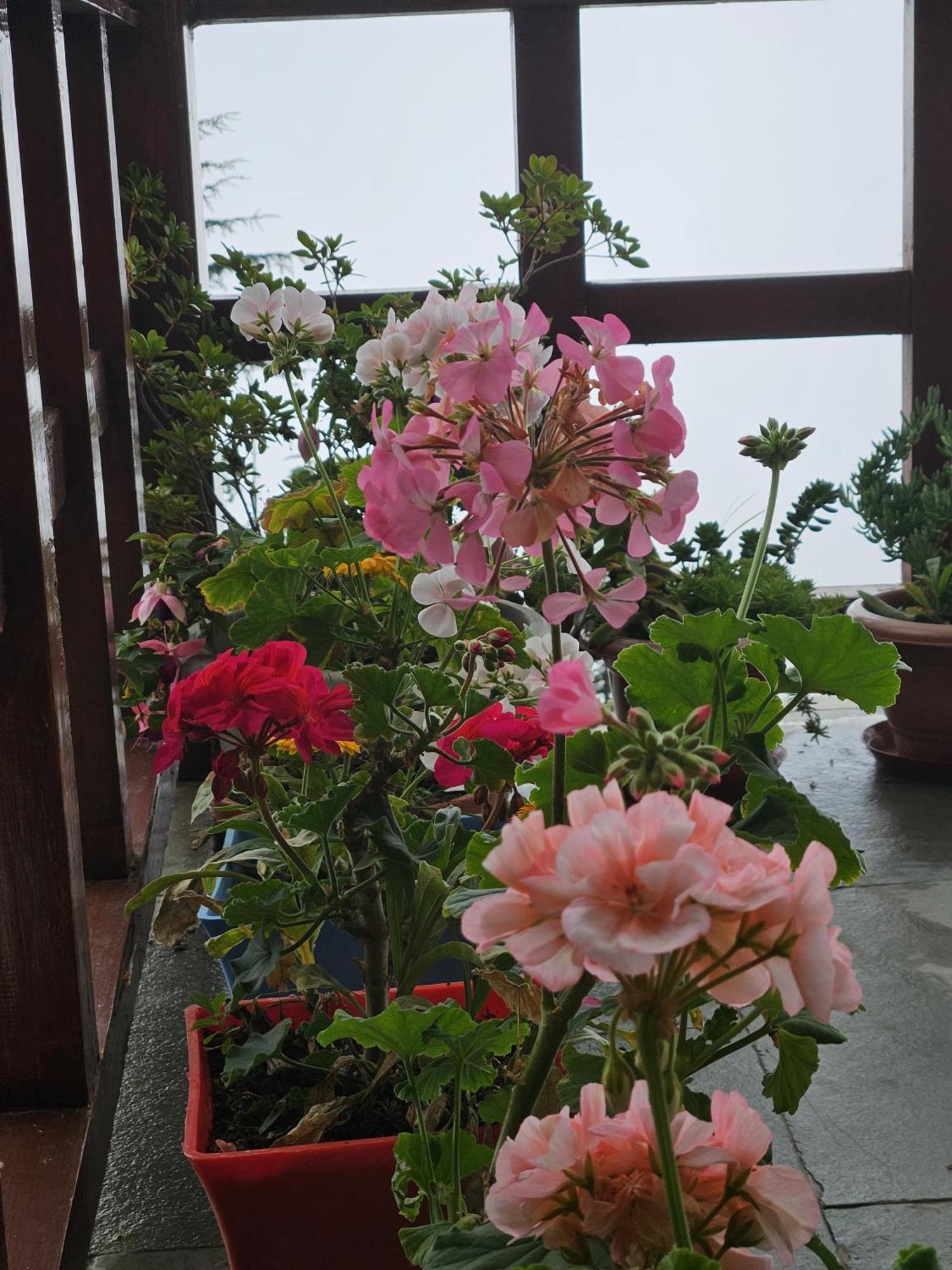 Ishan Log Huts- Boutique Homestay- since 1999 Banjār Extérieur photo